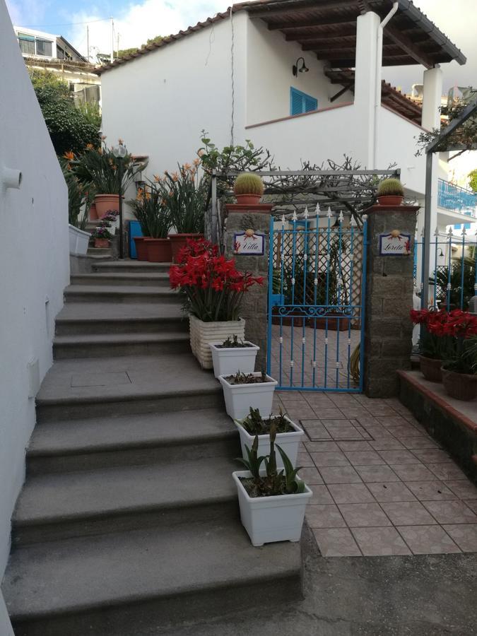 Villa Loreta Forio di Ischia Zewnętrze zdjęcie