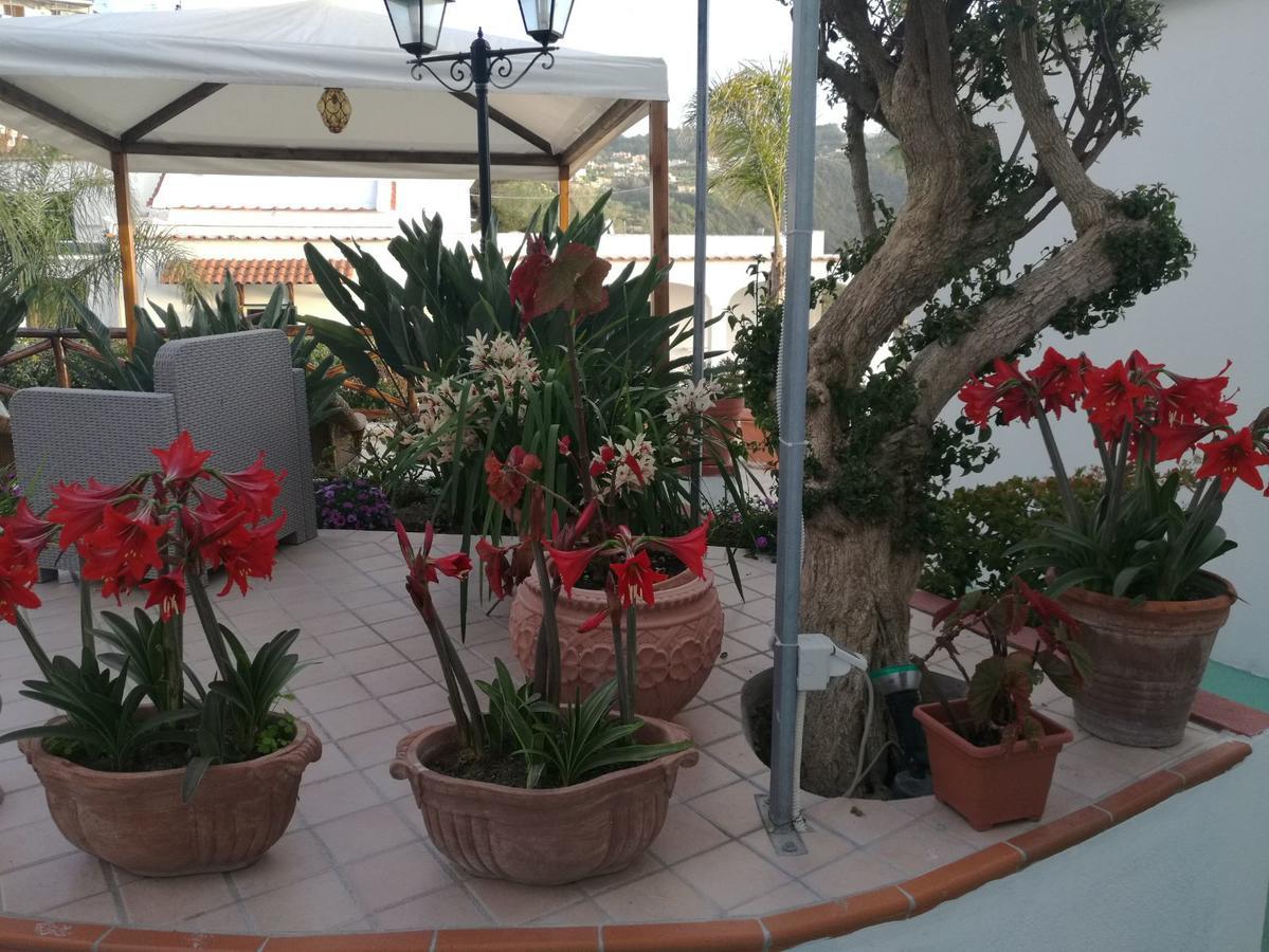 Villa Loreta Forio di Ischia Zewnętrze zdjęcie
