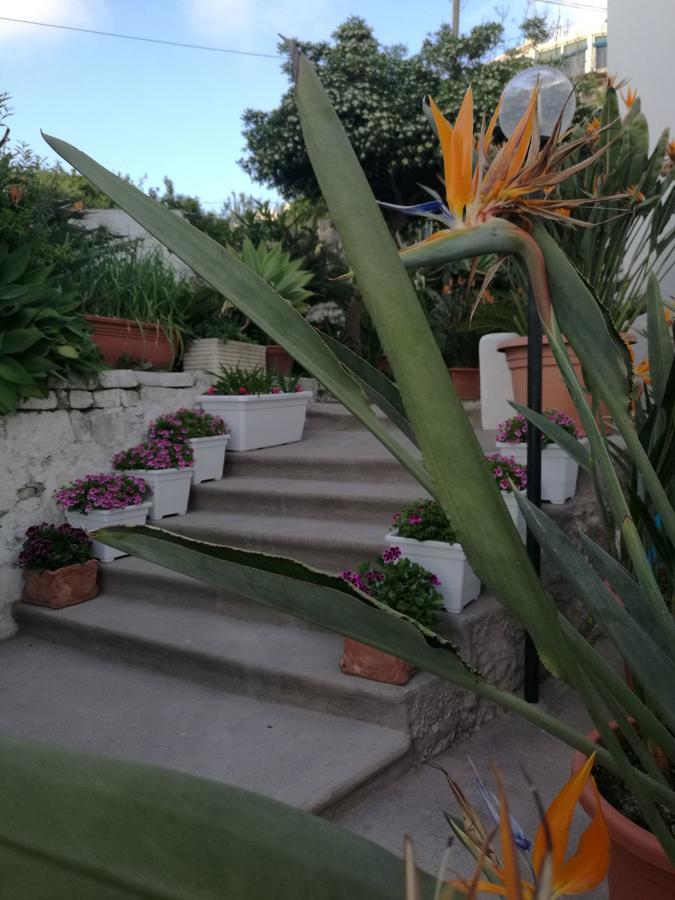Villa Loreta Forio di Ischia Zewnętrze zdjęcie
