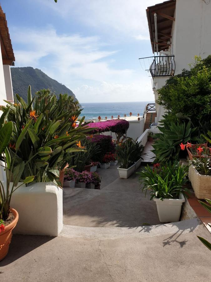 Villa Loreta Forio di Ischia Zewnętrze zdjęcie